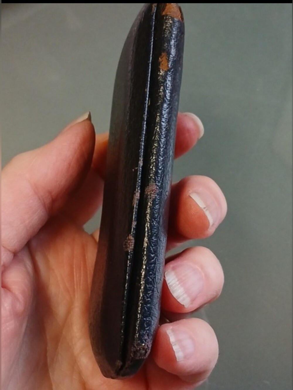 Antique pince nez Spectales and Case - Picture 9 of 9